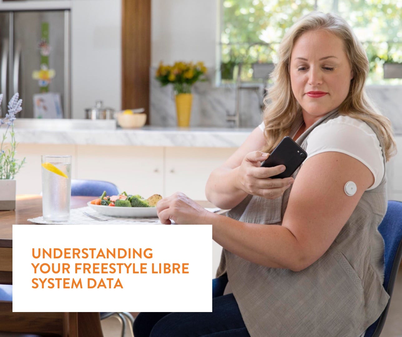 UNDERSTANDING YOUR FREESTYLE LIBRE SYSTEM DATA